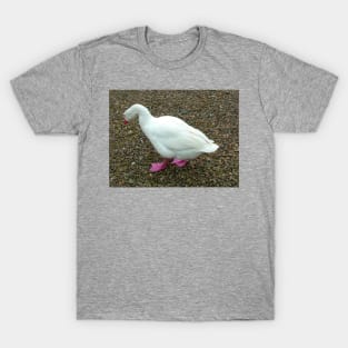 Goosy T-Shirt